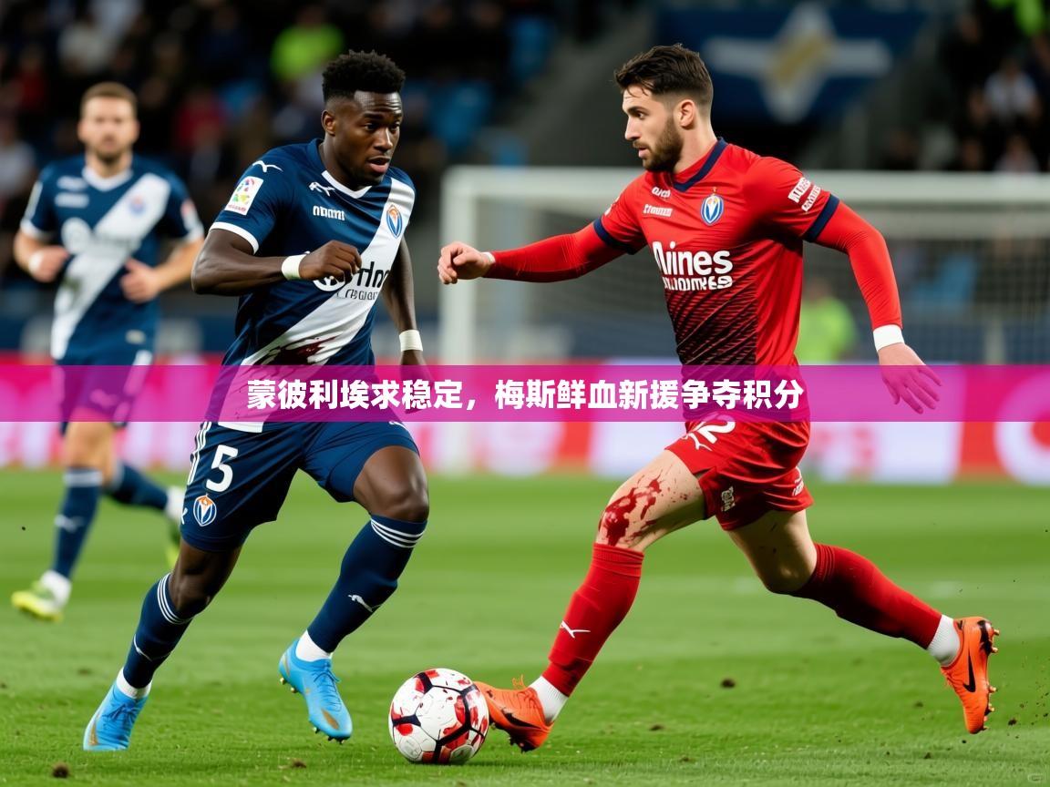 2025开云kaiyun体育app入口下载官网蒙彼利埃求稳定，梅斯鲜血新援争夺积分