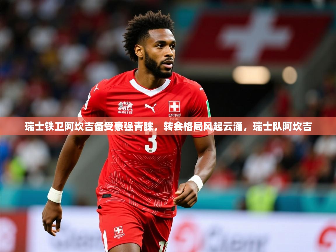 2025开云kaiyun体育app入口下载官网瑞士铁卫阿坎吉备受豪强青睐，转会格局风起云涌，瑞士队阿坎吉