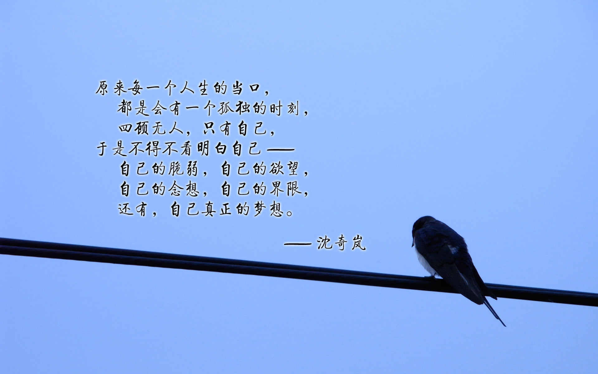 斯图加特面对霍芬海姆，追求赢球的梦想